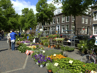 900413 Afbeelding van de bloemen- en plantenmarkt op het Janskerkhof te Utrecht.